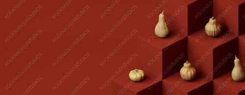 Squashes on Burnt Orange Colored Blocks. Autumn themed Background with copy-space.