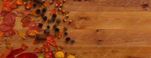 Autumn flat lay with leaves, Gourds and Berries. Thanksgiving concept with space for text.