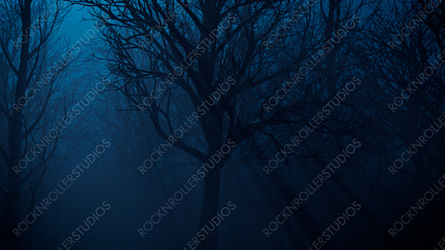 Trees in Haunted Forest. Halloween background.