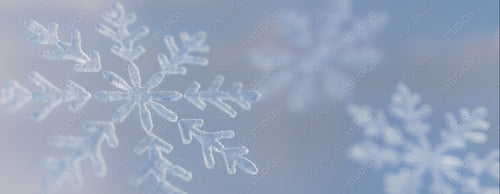 Natural Festive Wallpaper with Icy Snowflake. Seasonal Banner with copy-space.