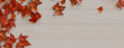 Thanksgiving Wallpaper with Autumn leaves on White wood Surface.
