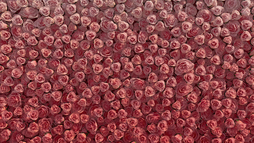 Beautiful, Red Wall background with Roses. Elegant, Floral Wallpaper with Colorful, Vibrant flowers. 3D Render