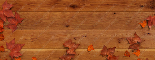 Autumn Wallpaper.