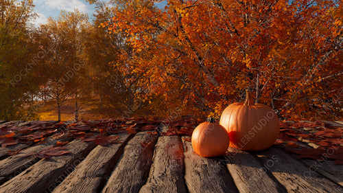 Pumpkin on a Natural Wood Tabletop in a Woodland Environment. Autumn Background with copy-space.