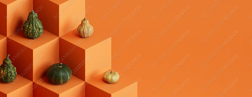 Squashes on Orange Colored Blocks. Fall themed Banner with copy-space.