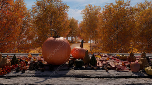 Thanksgiving Background with Autumn leaves, Pumpkins and Pine cones on a Natural Wood Tabletop.