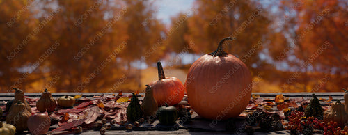 Seasonal Banner with Gourd and Autumn Leaves in a Natural Setting. Thanksgiving concept with copy-space.