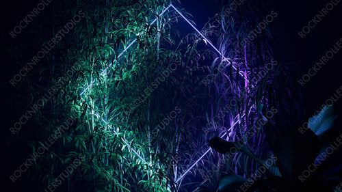 Green and Purple Neon Light with Tropical Plants. Diamond shaped Fluorescent Frame in Nature Environment.
