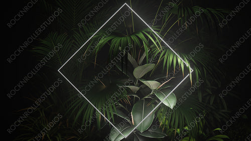 Tropical Plants Illuminated with White Fluorescent Light. Nature Environment with Diamond shaped Neon Frame.