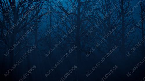 Halloween Trees with shafts of Moonlight shining through the Branches.