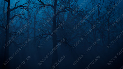 Ghostly Halloween Forest Scene at Night.