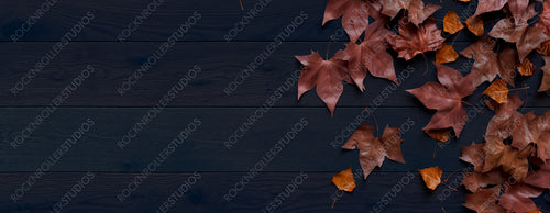 Thanksgiving Background with Fall leaves on Dark wood Tabletop.
