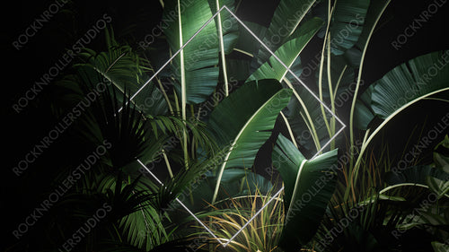 Tropical Leaves Illuminated with White Fluorescent Light. Exotic Environment with Diamond shaped Neon Frame.