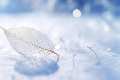White transparent skeleton leaf on snow outdoors in winter. Beautiful texture, falling snow flakes, soft blurred blue background. Gentle romantic artistic image, Christmas  New Year, close-up macro.