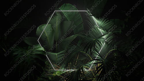 Futuristic Background Design. Tropical Leaves with White, Hexagon shaped Neon Frame.