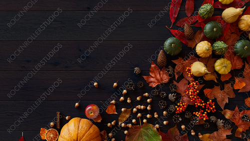 Thanksgiving frame with Gourds, Acorns, Falls leaves and Berries.