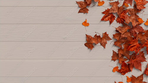 Thanksgiving Wallpaper with Autumn leaves on White wood Tabletop.