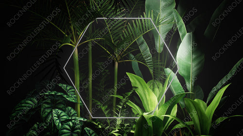White Neon Light with Tropical Plants. Hexagon shaped Fluorescent Frame in Nature Environment.