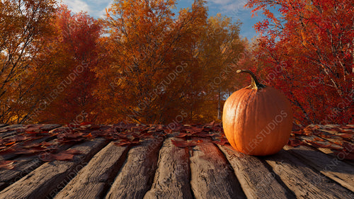 Pumpkin on a Natural Wood Tabletop in a Woodland Setting. Autumn Background with copy-space.