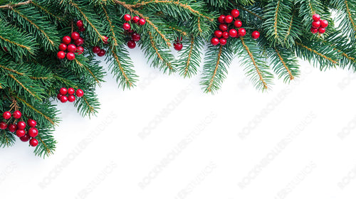 Simple holiday background with fresh evergreen branches and vibrant red holly berries