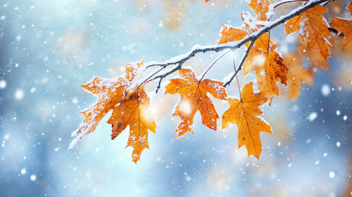 Vibrant Autumn Leaves Covered in Snowflakes Against a Wintry Backdrop