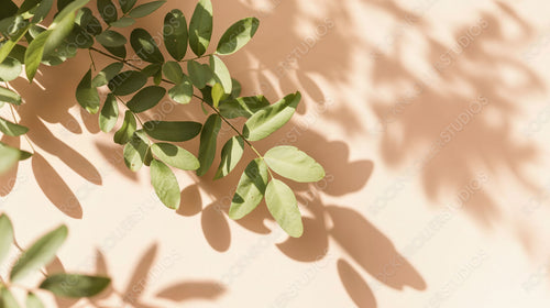 Natural Foliage with Beautiful Shadows on Peach Background