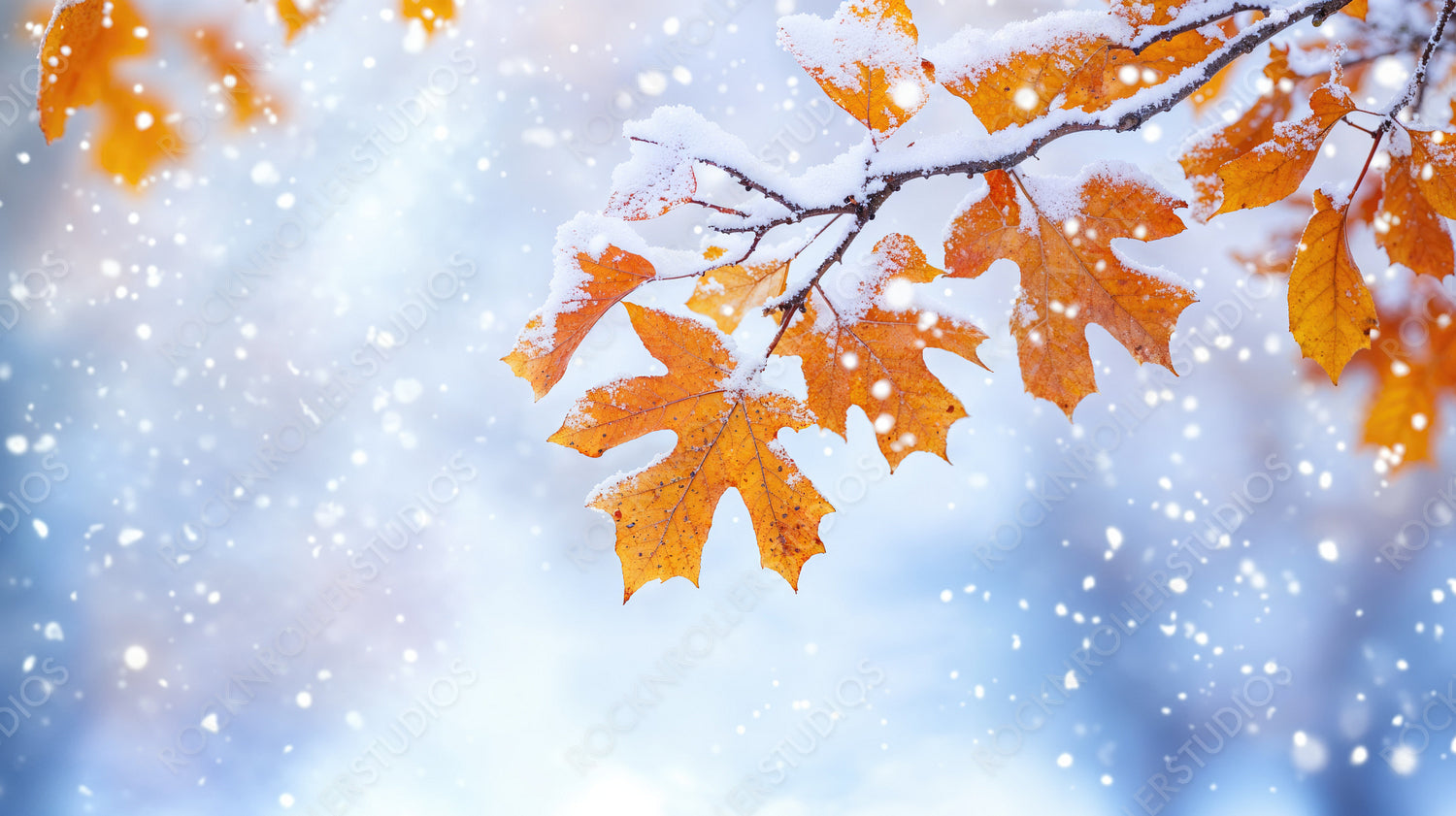 Snow-Dusted Orange Leaves on a Frosty Branch, Embracing the Beauty of Winter