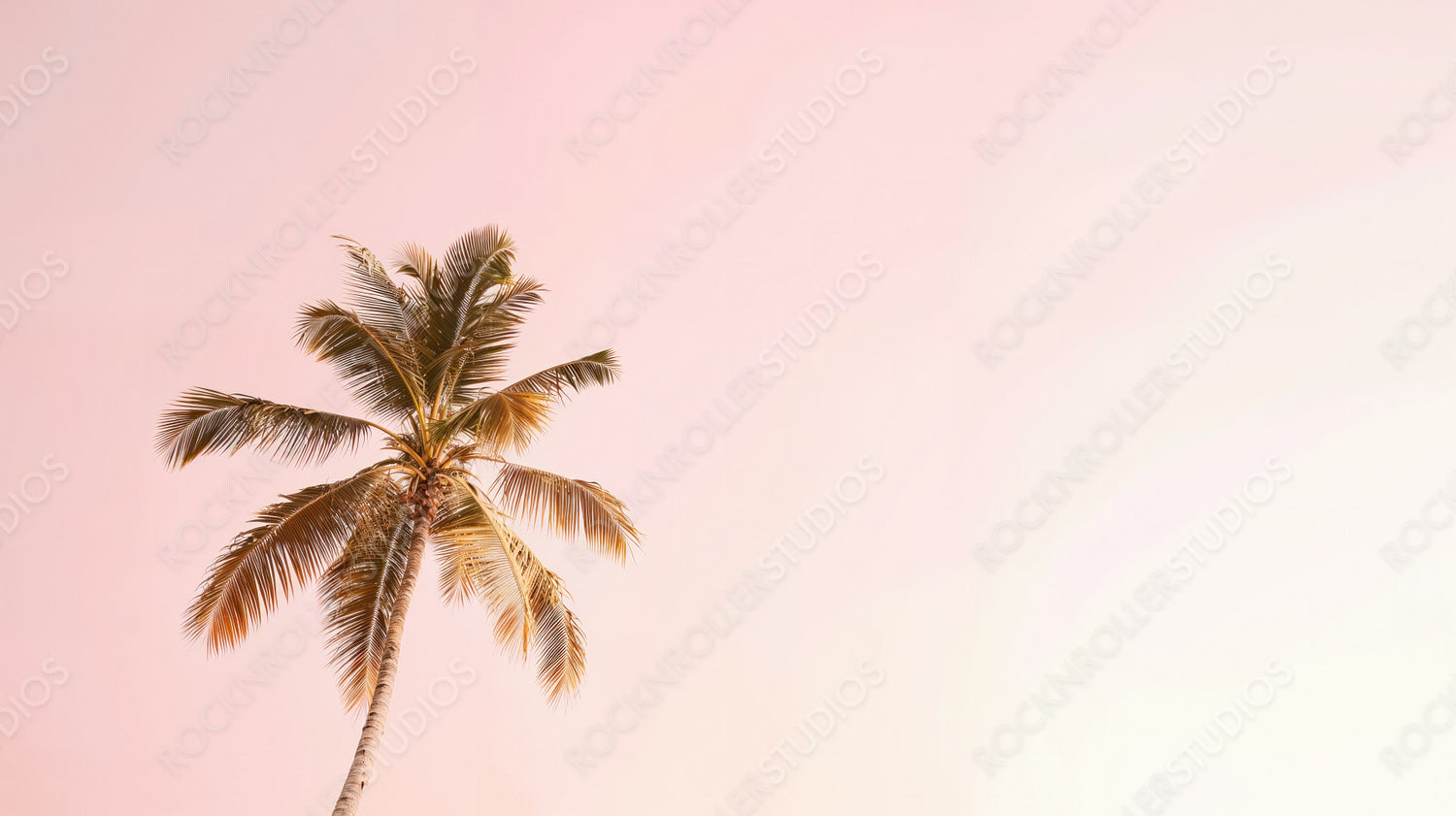 Tropical Palm Tree Silhouette Against Soft Pink Sky