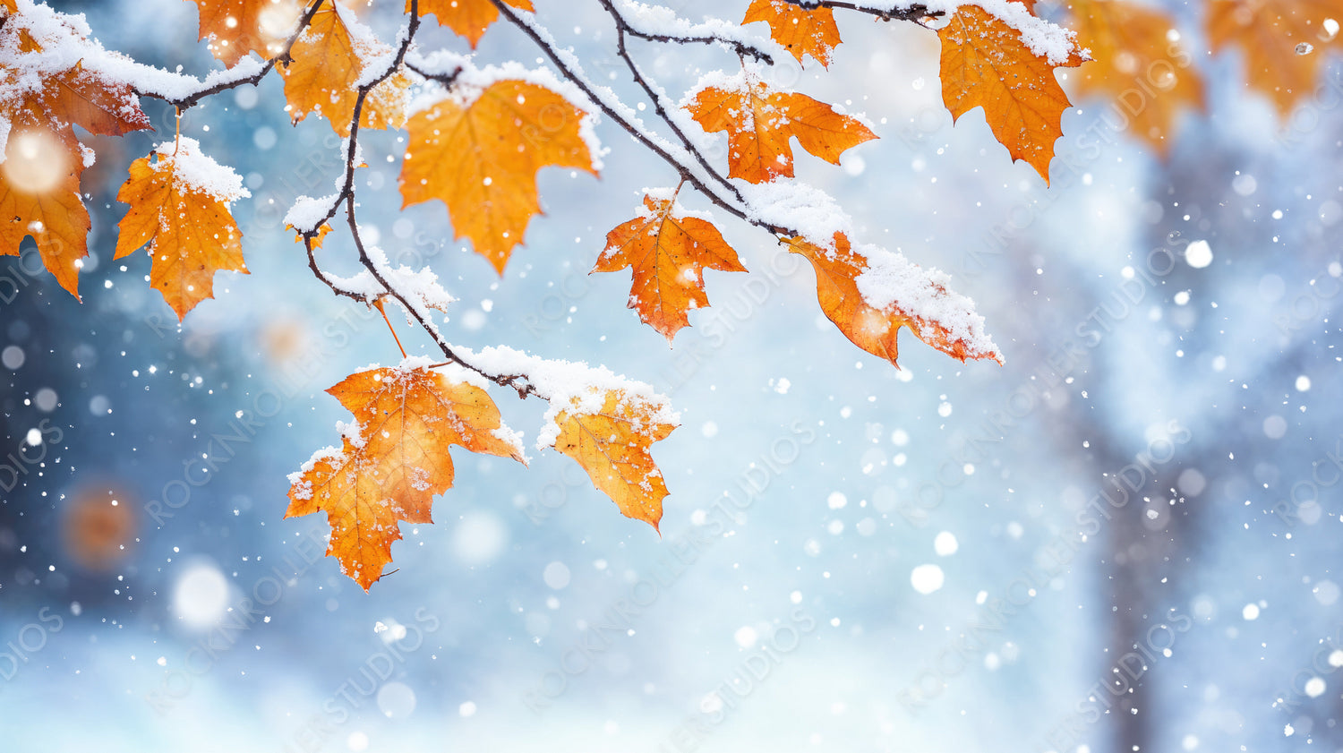 Snow-Dusted Orange Leaves on a Frosty Branch, Embracing the Beauty of Winter