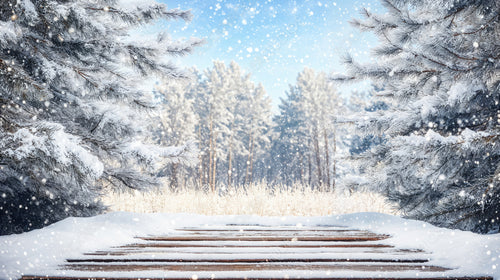 Winter Snow-Covered Pine Branches and Wooden Table with Frosty Snowflakes in Forest Background