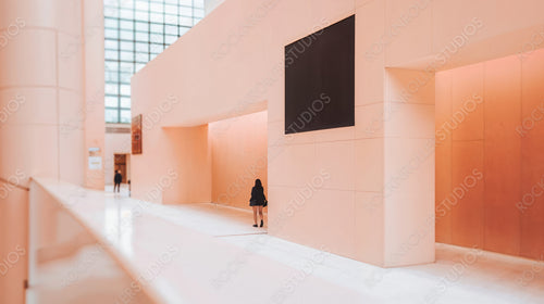 Modern Airport Terminal with Flight Information Display