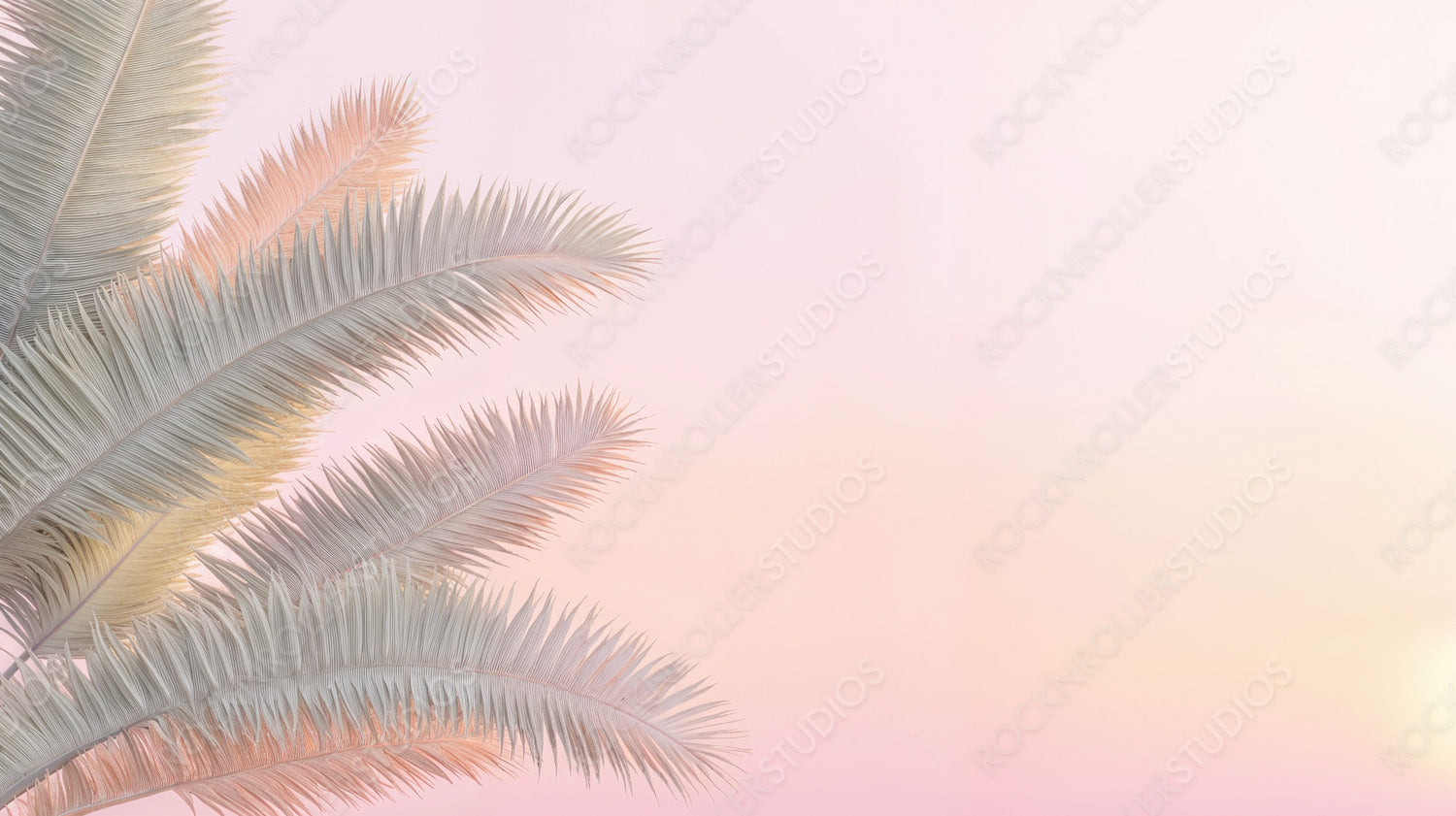 Dreamy Tropical Sunrise: Elegant Palm Silhouettes Against Soft Pastel Tones