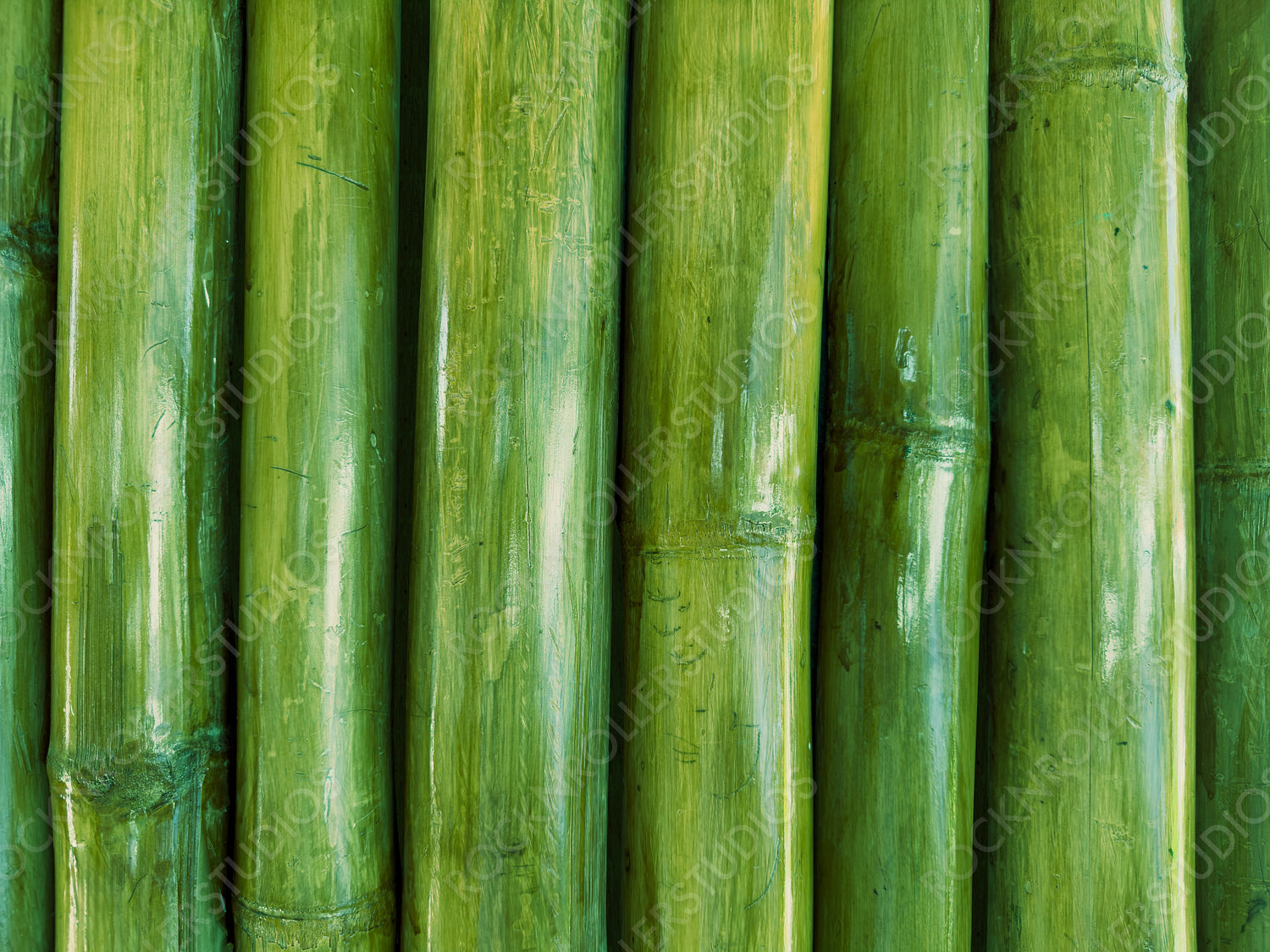 Detailed Green Bamboo Wall Close-Up Background