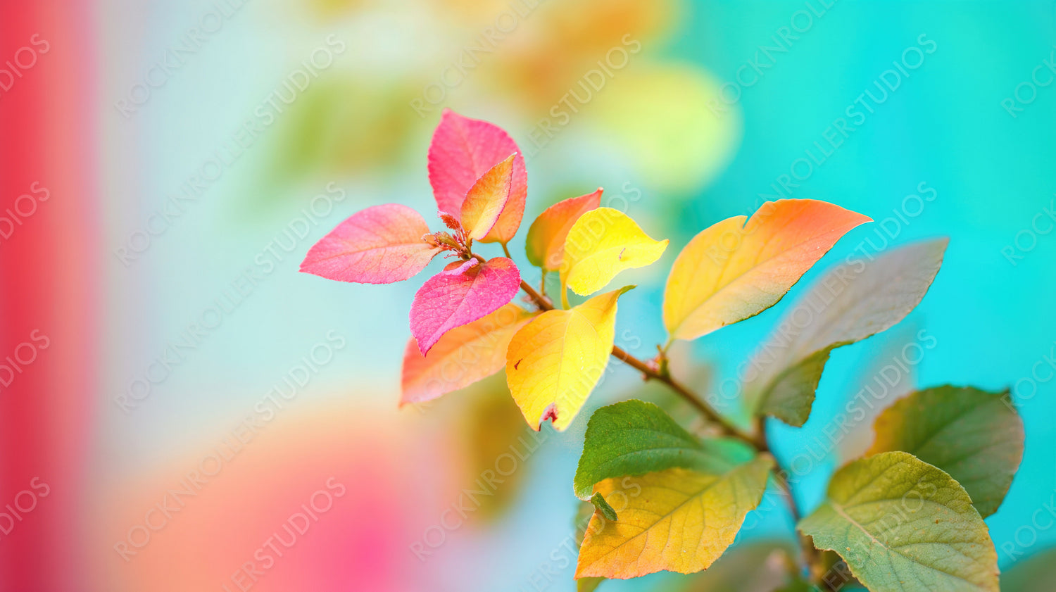 Vibrant Autumn Symphony: Close-Up of Colorful Leaves Transitioning Through Fall Hues