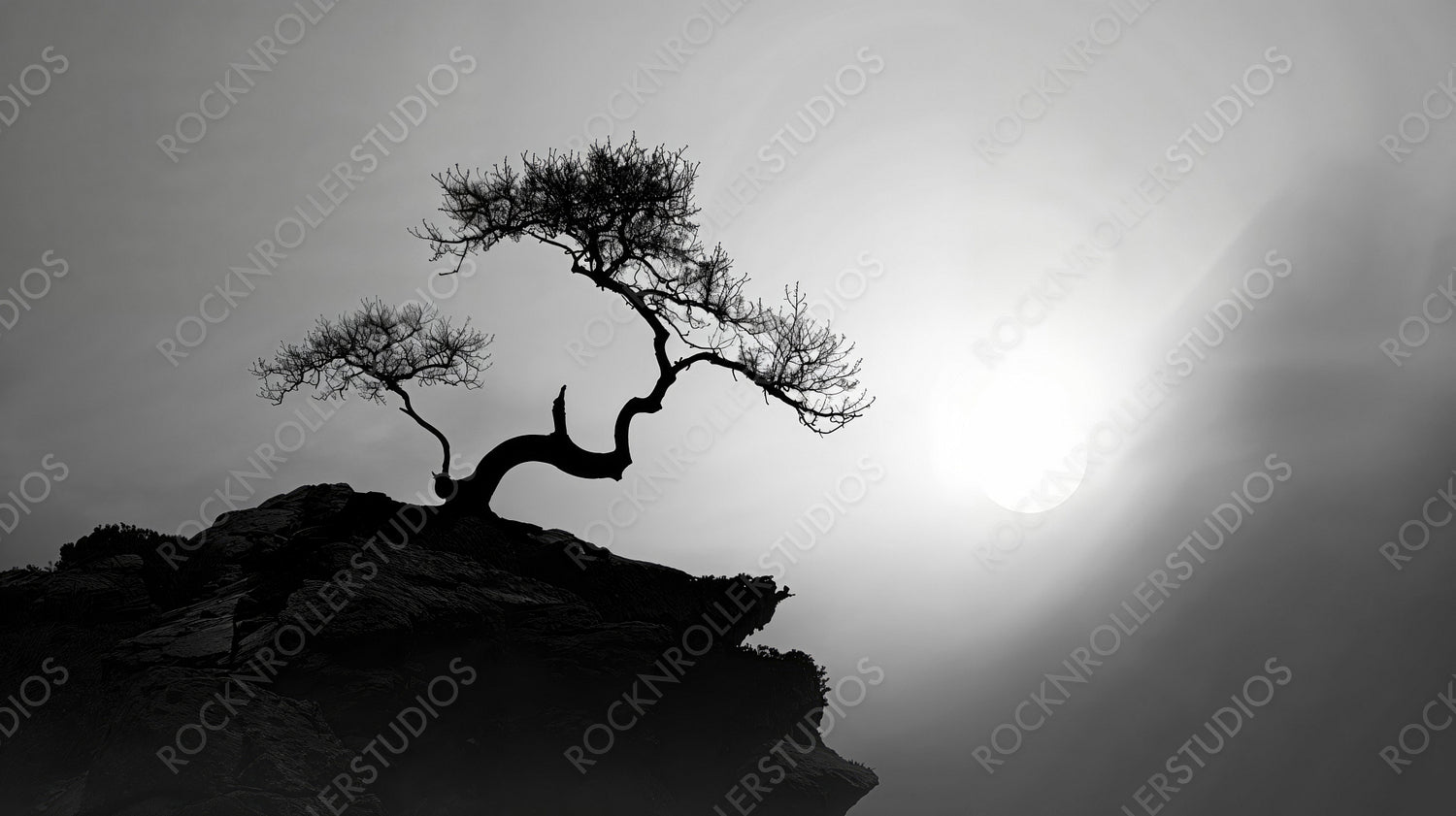 Silhouette of Bonsai Tree at Sunset - Tranquil, Serene Landscape