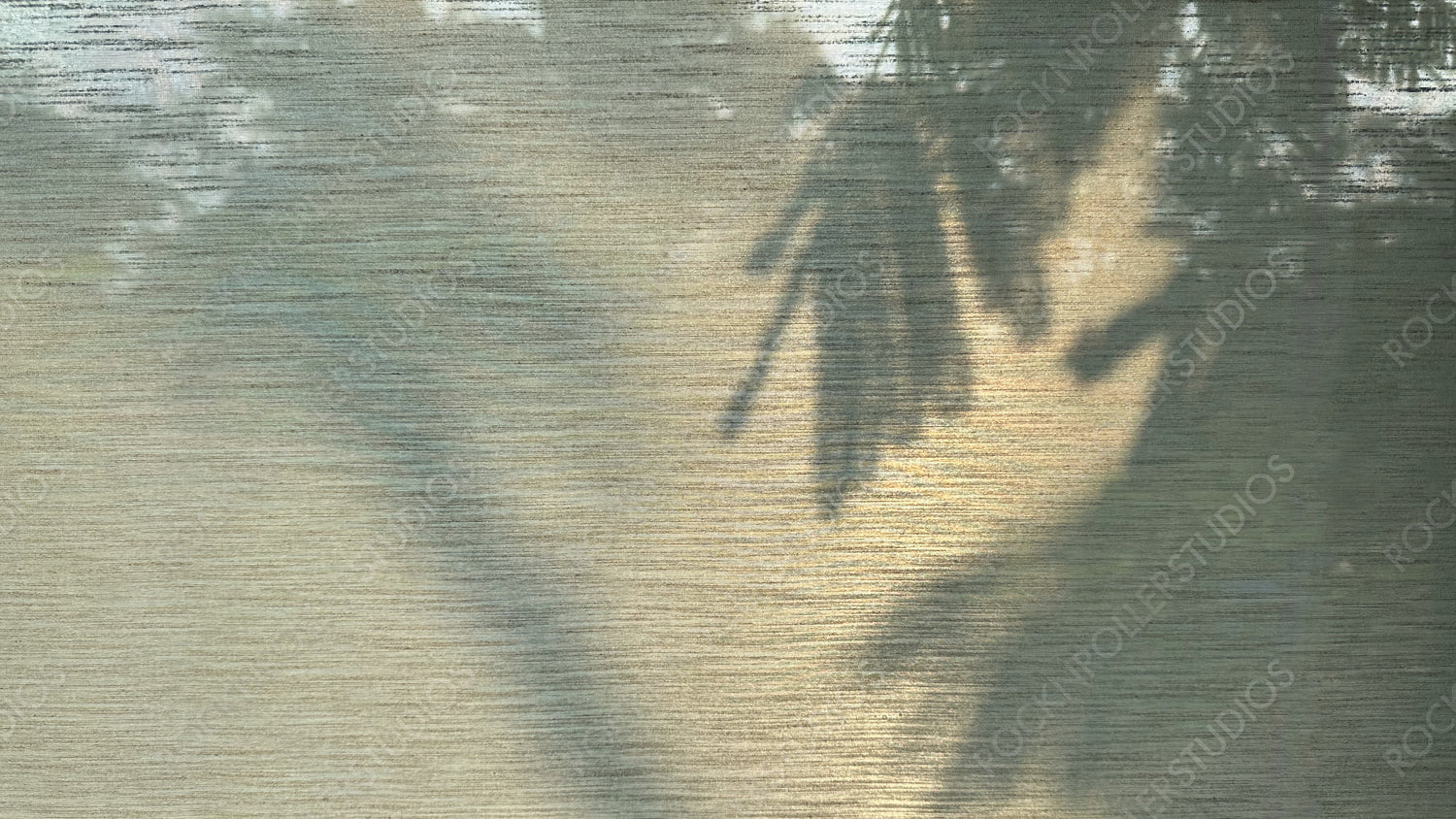 Serene Shadows: Palm Leaf Silhouettes on Textured Blind