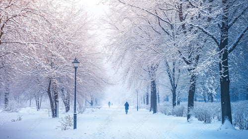 Serene Winter Wonderland Walk Through a Snowy Park with Snow-Covered Trees