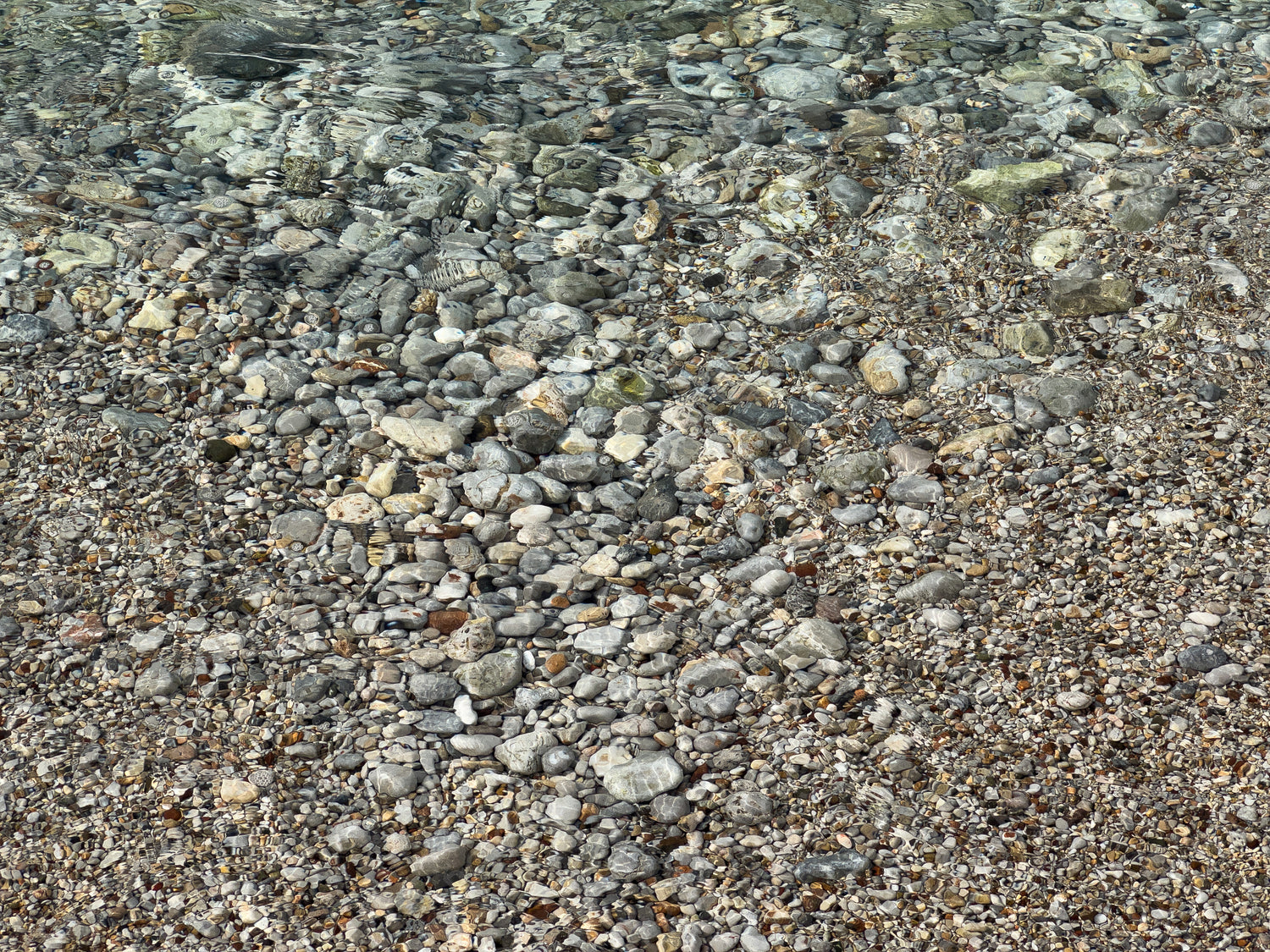 Pebbles Under Clear Water, Peaceful Rocky Shore