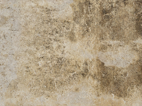 Earthy Concrete Wall with Vintage Weathering - Perfect for Industrial and Rustic Design Backgrounds