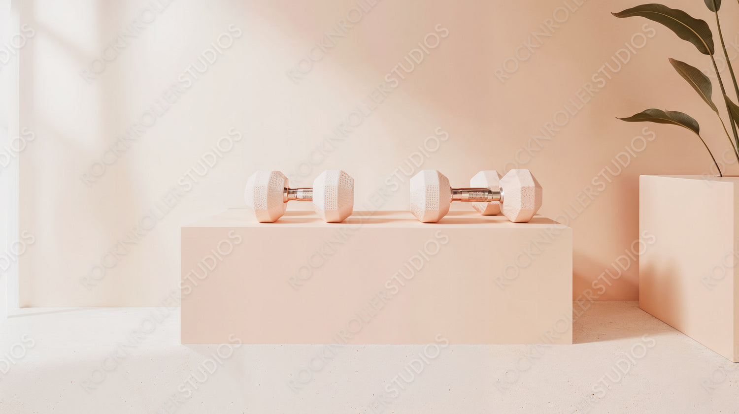 Modern Peach Dumbbells in Sunlit Room