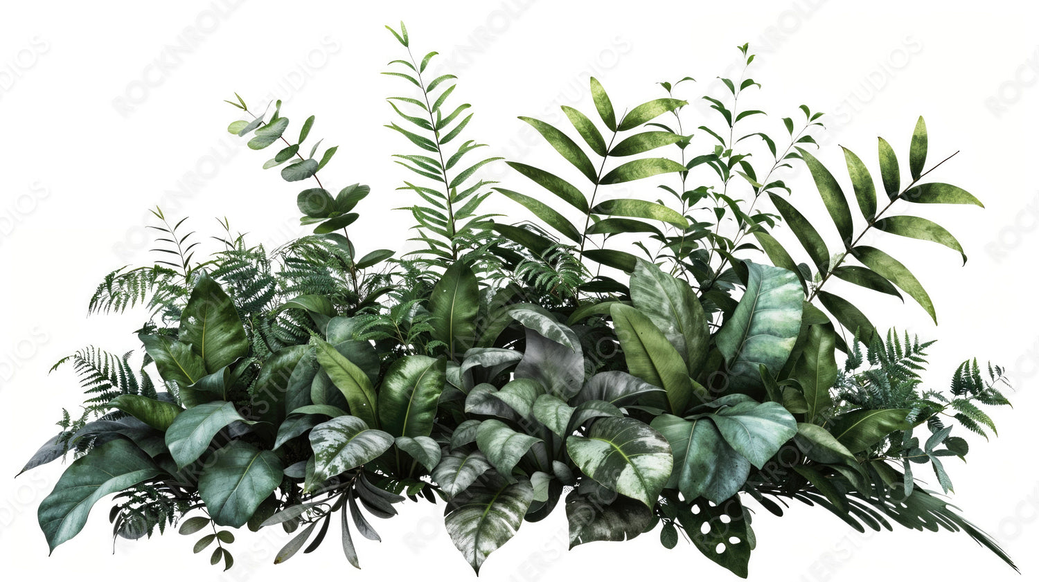 Elegant Green Foliage Isolated on White Background