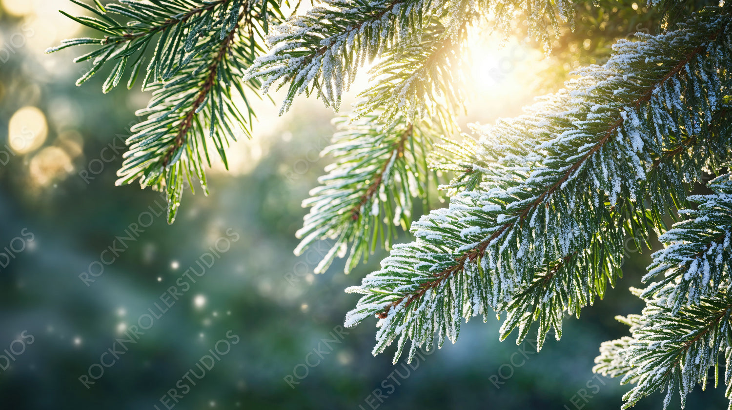 Sunset Glow on Pine Branches with Bokeh Lights in Forest