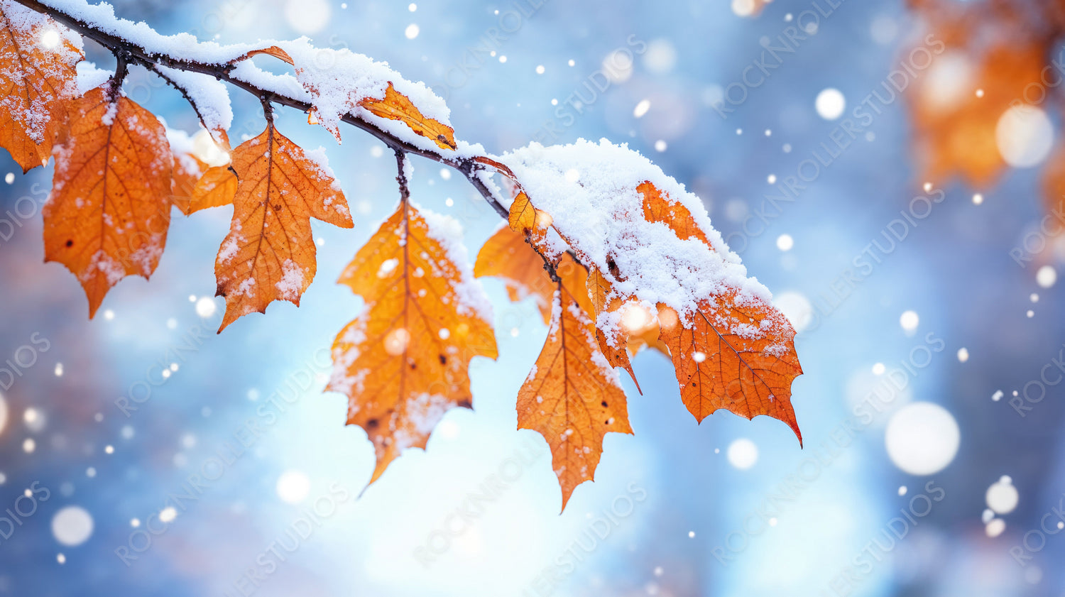 Vibrant Autumn Leaves Covered in Snowflakes Against a Wintry Backdrop