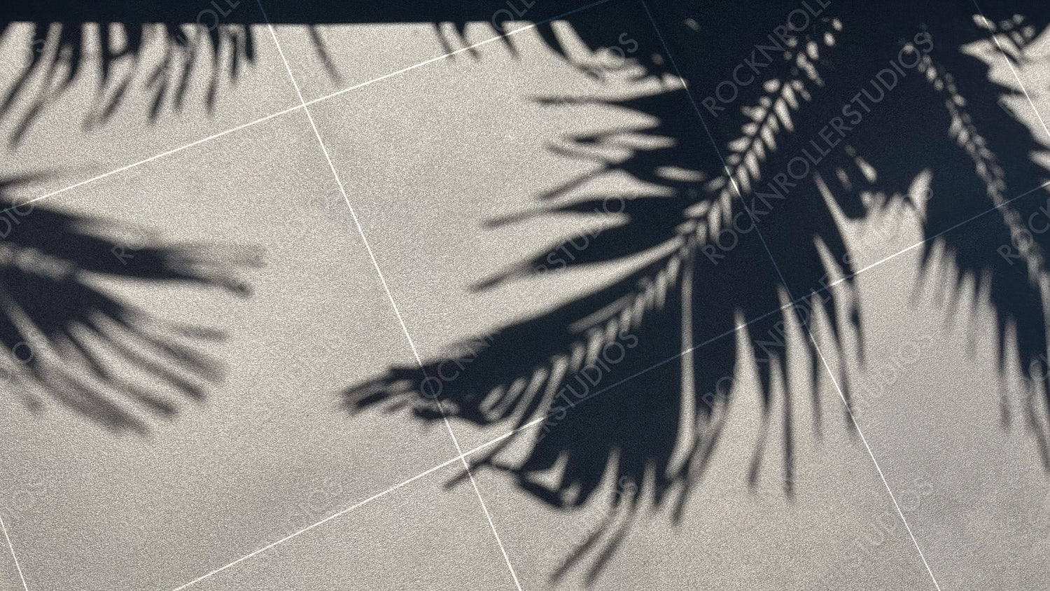 Shadow of Palm Leaves on Tiled Floor, Tropical Poolside Vibes