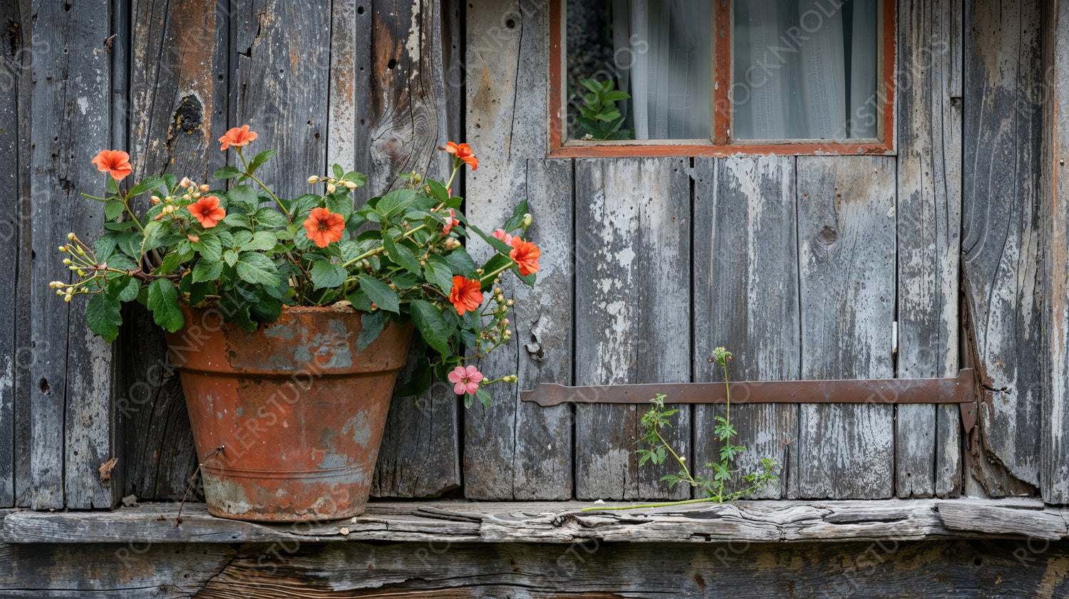 Rustic Flowerpot with Vibrant Blooms Against Weathered Wooden Wall