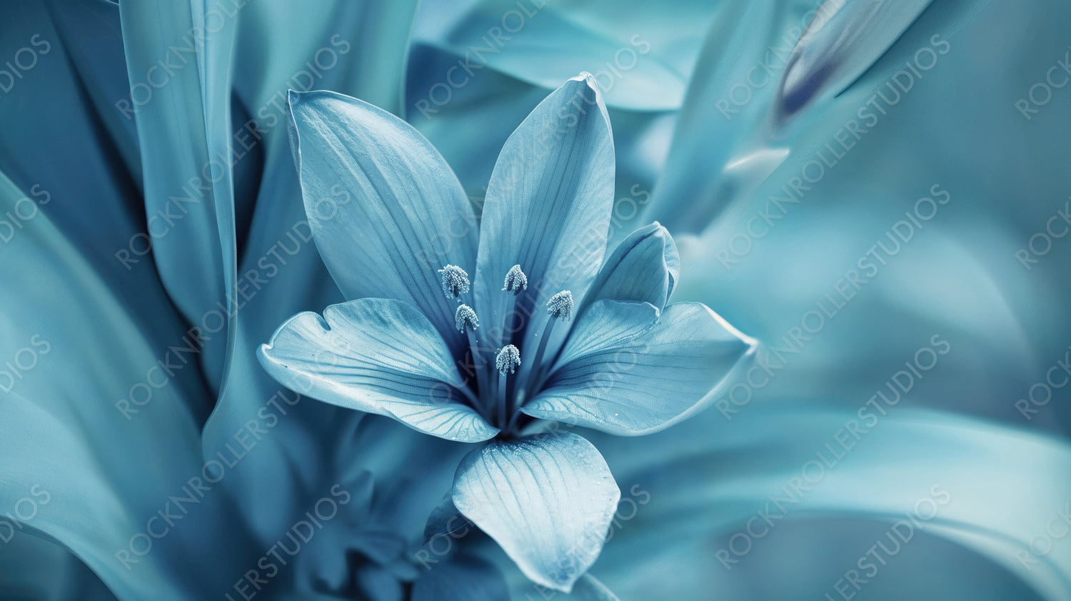 Elegant Blue Flower Close-Up with Soft Petals and Abstract Background