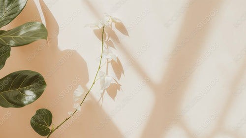 Potted Plant Casting Shadows on a Soft Pink Wall