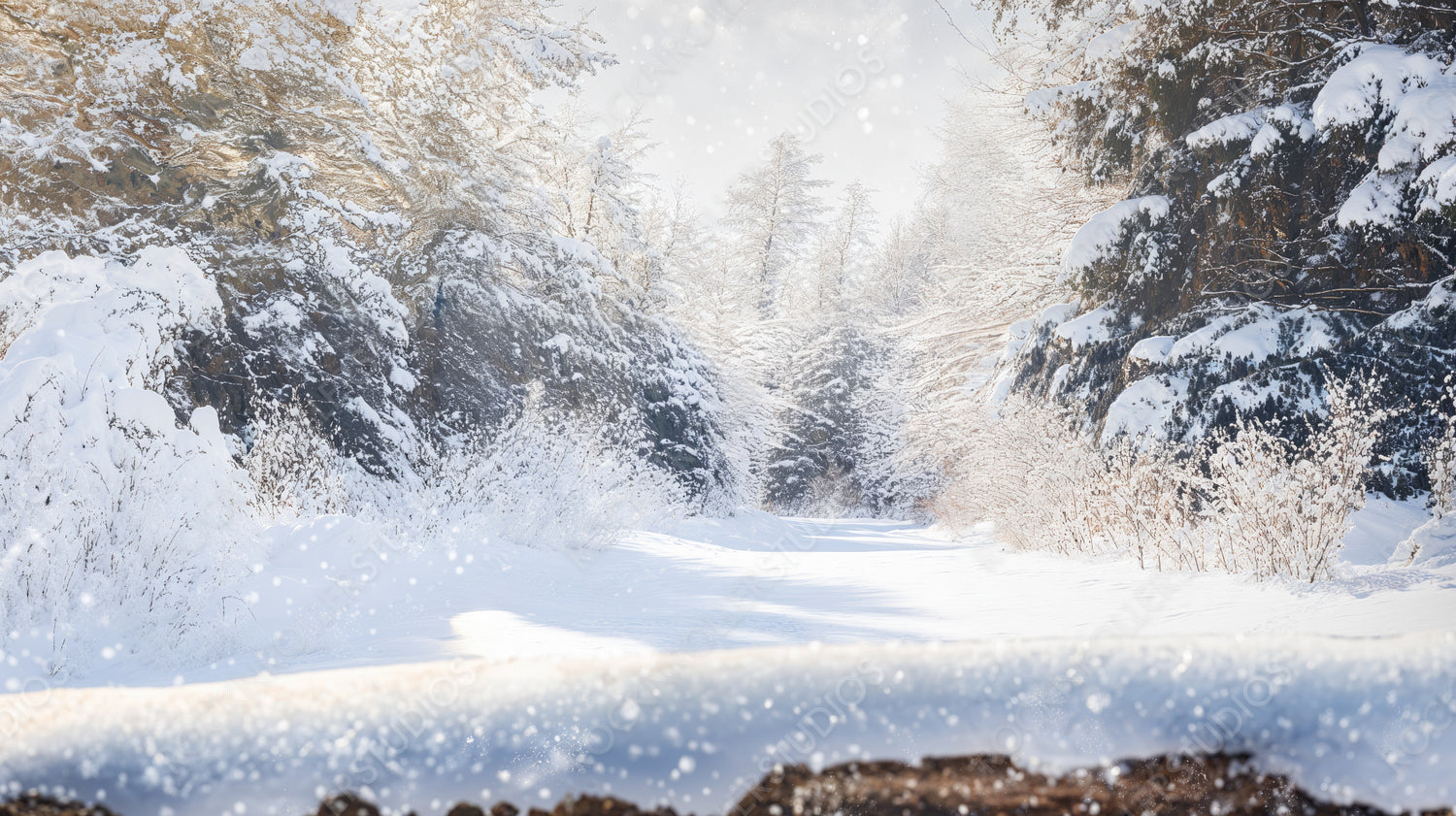 Snow-Covered Pine Trees and Winter Wonderland Scene with Falling Snow