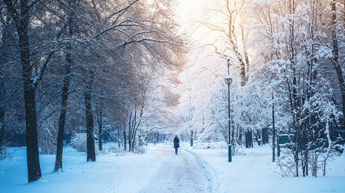 Serene Winter Wonderland Walk Through a Snowy Park with Snow-Covered Trees