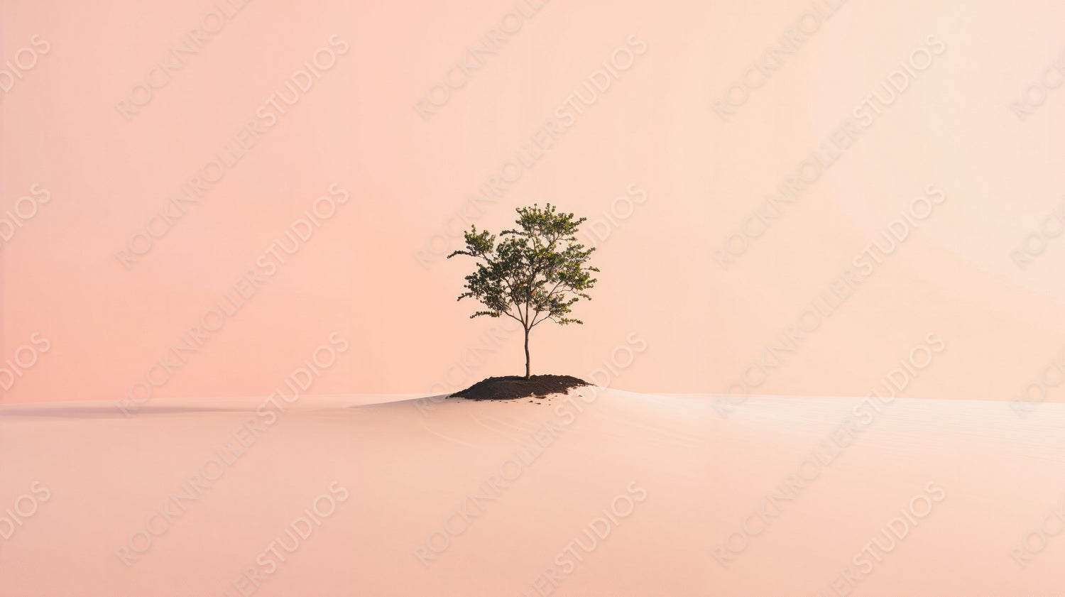 Young Tree Growing in the Desert: A Symbol of Sustainability